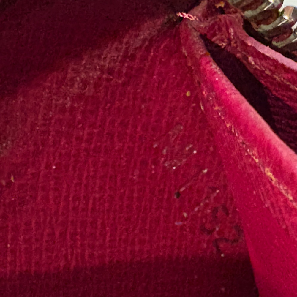 Louis Vuitton Epi Zippy Wallet FULL INCLUSION - Picture 9 of 10